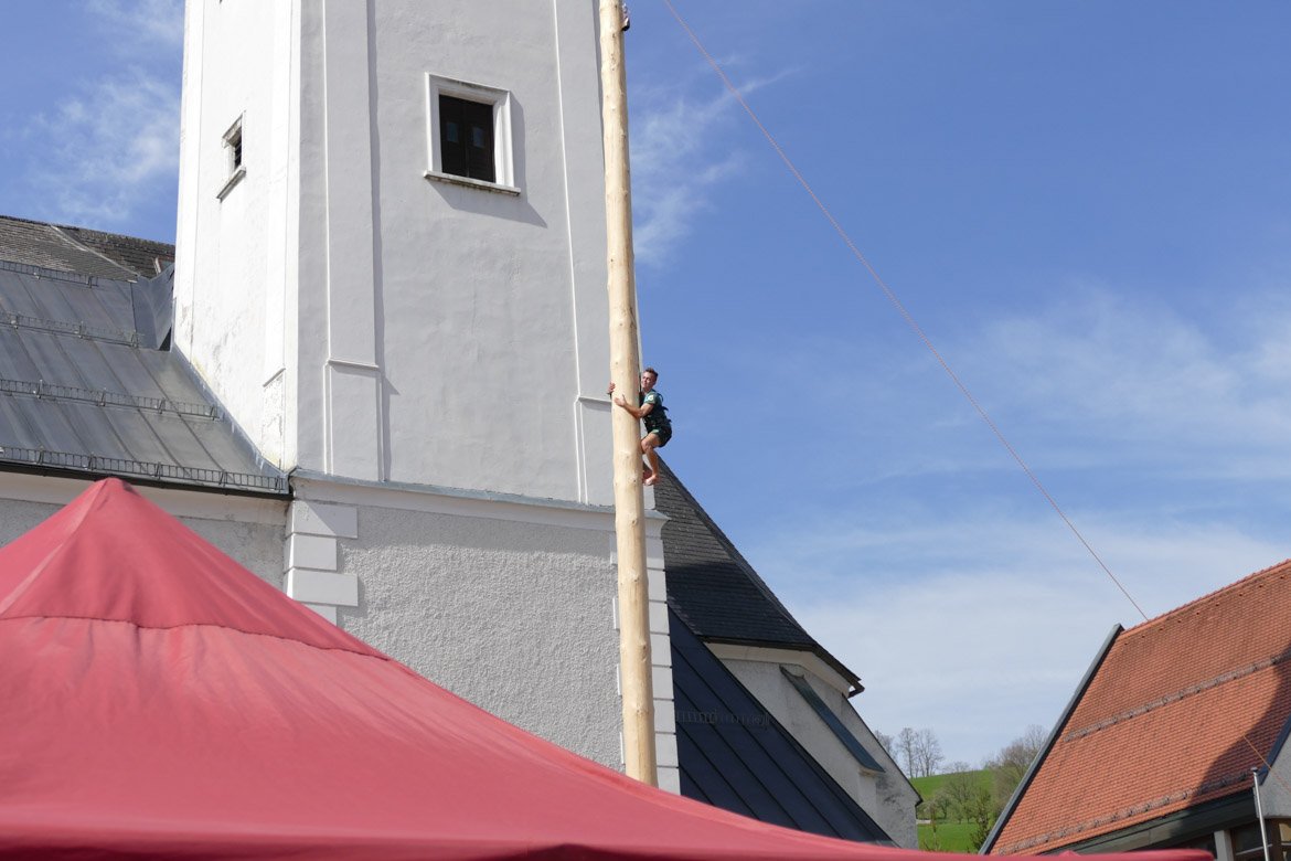 Maifest